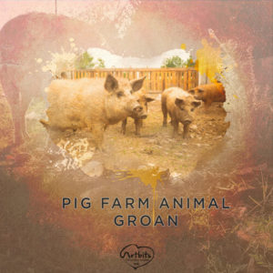 Pig-Farm-Animal-Groan