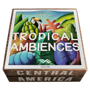 Tropical Ambiences